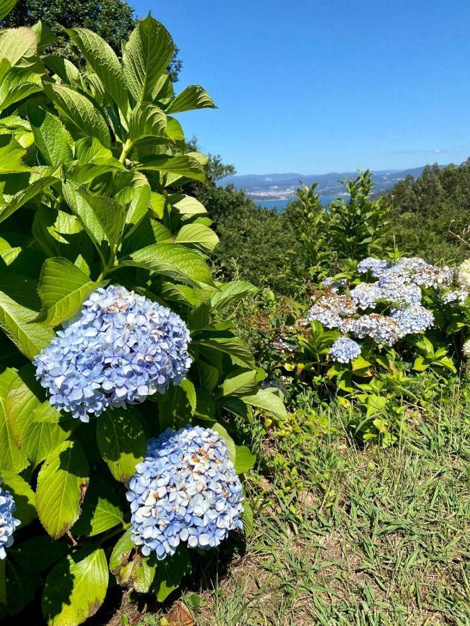 Affittacamere A Bouza Samieira Esterno foto